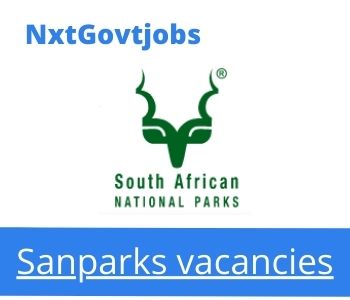 Sanparks Assistant Investigator vacancies 2022 Apply now @sanparks.org