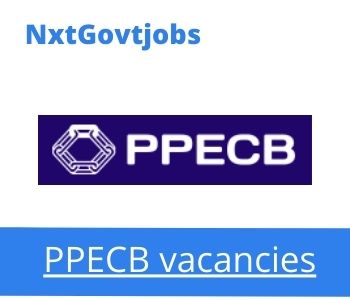 PPECB Application Support Specialist Assessor Vacancies in Cape Town 2023