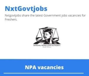 NPA Driver Messenger vacancies 2022 Apply now @npa.gov.za