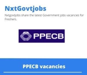 PPECB Temporary Cleaner Vacancies in Ceres 2022
