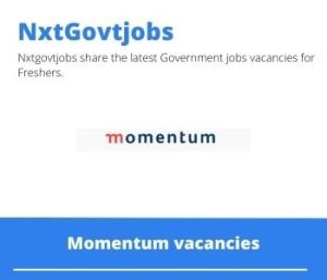 Momentum Investment Consultant Vacancies in Cape Town 2022