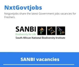 SANBI Procurement Officer Vacancies in Cape Town 2023