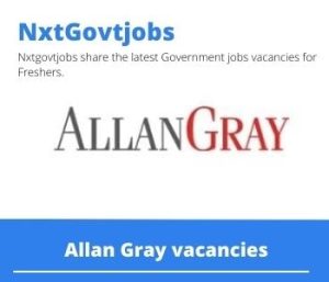 Allan Gray Test Lead Vacancies in Cape Town 2023