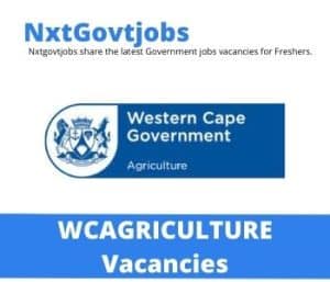 State Veterinarian vacancies in Western Cape Department of Agriculture – Deadline 07 Aug 2023