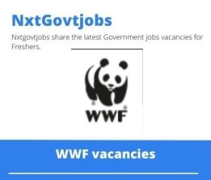 WWF Wildlife Programme Manager Vacancies in Cape Town – Deadline 09 Jun 2023