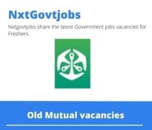 Old Mutual Analyst Programmer Vacancies in Pinelands – Deadline 15 Jul 2023