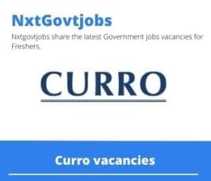Curro Geography Curriculum Manager Vacancies in Cape Town – Deadline 01 Jan 2024