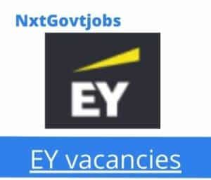EY Business Transformation Manager Vacancies in Cape Town – Deadline 22 May 2023