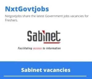 Sabinet Research Data Manager Vacancies in Stellenbosch- Deadline 24 Oct 2023