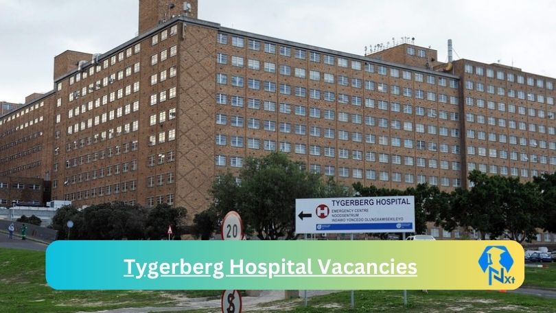 1x New Tygerberg Hospital Vacancies 2024 @westerncape.gov.za Career Portal